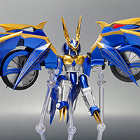 S.H.Figuarts&nbsp;ダークレイダー