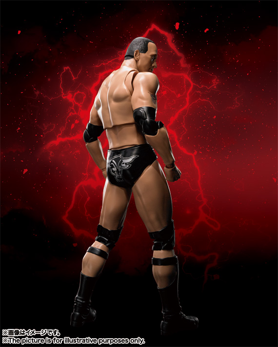 S.H.Figuarts The Rock