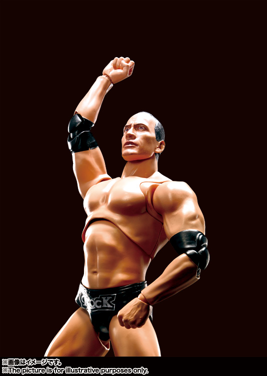 S.H.Figuarts The Rock