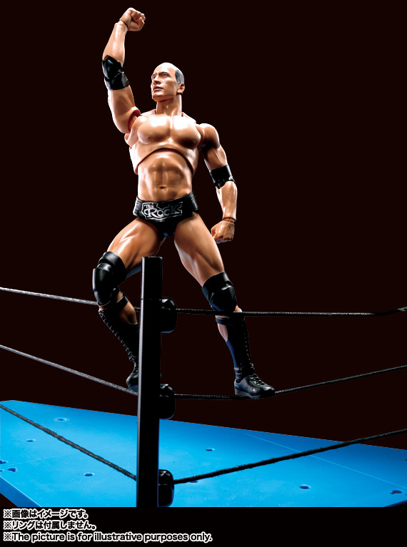 S.H.Figuarts The Rock