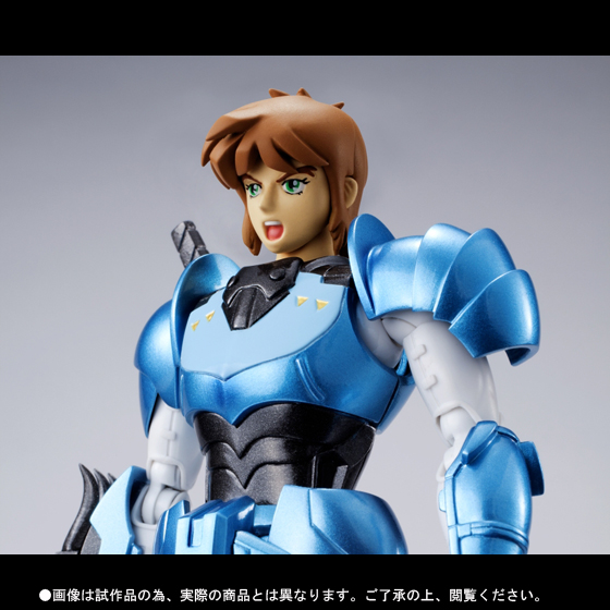 アーマープラス&nbsp;水滸のシン