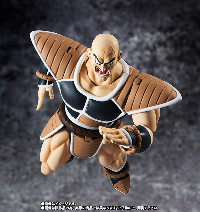 S.H.Figuarts ナッパ