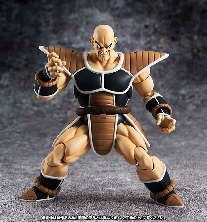 S.H.Figuarts ナッパ