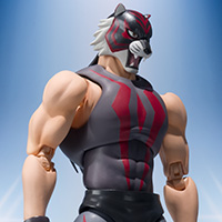 S.H.Figuarts&nbsp;タイガー・ザ・ダーク