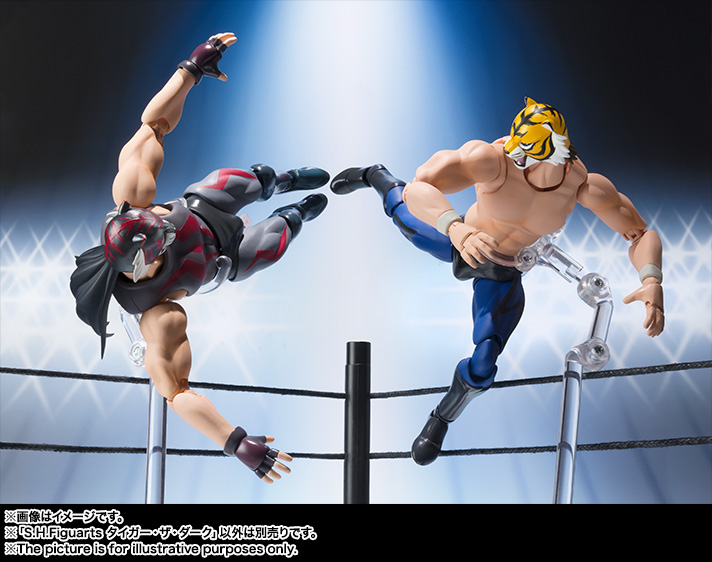 S.H.Figuarts&nbsp;タイガー・ザ・ダーク