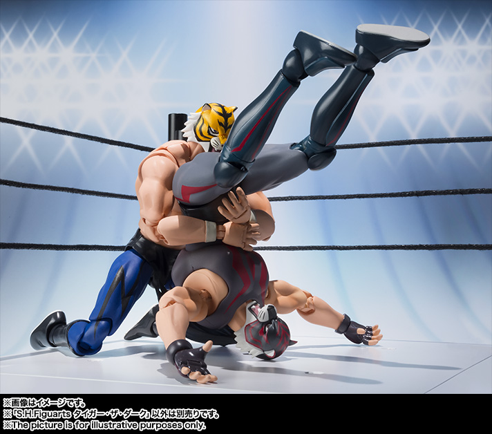 S.H.Figuarts&nbsp;タイガー・ザ・ダーク