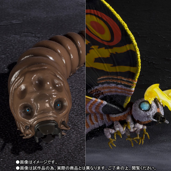 S.H.MonsterArts&nbsp;モスラ（成虫）＆モスラ（幼虫） Special Color Ver.