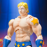 S.H.Figuarts&nbsp;テリーマン