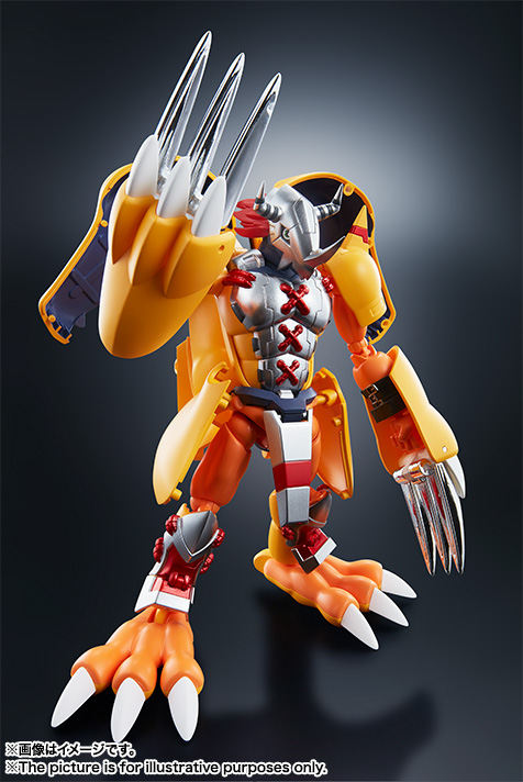 超進化魂 01 ウォーグレイモン