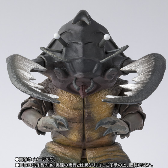 S.H.Figuarts&nbsp;アントラー