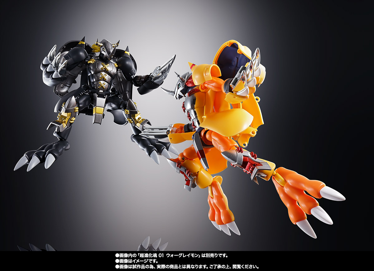 超進化魂&nbsp;08 ブラックウォーグレイモン