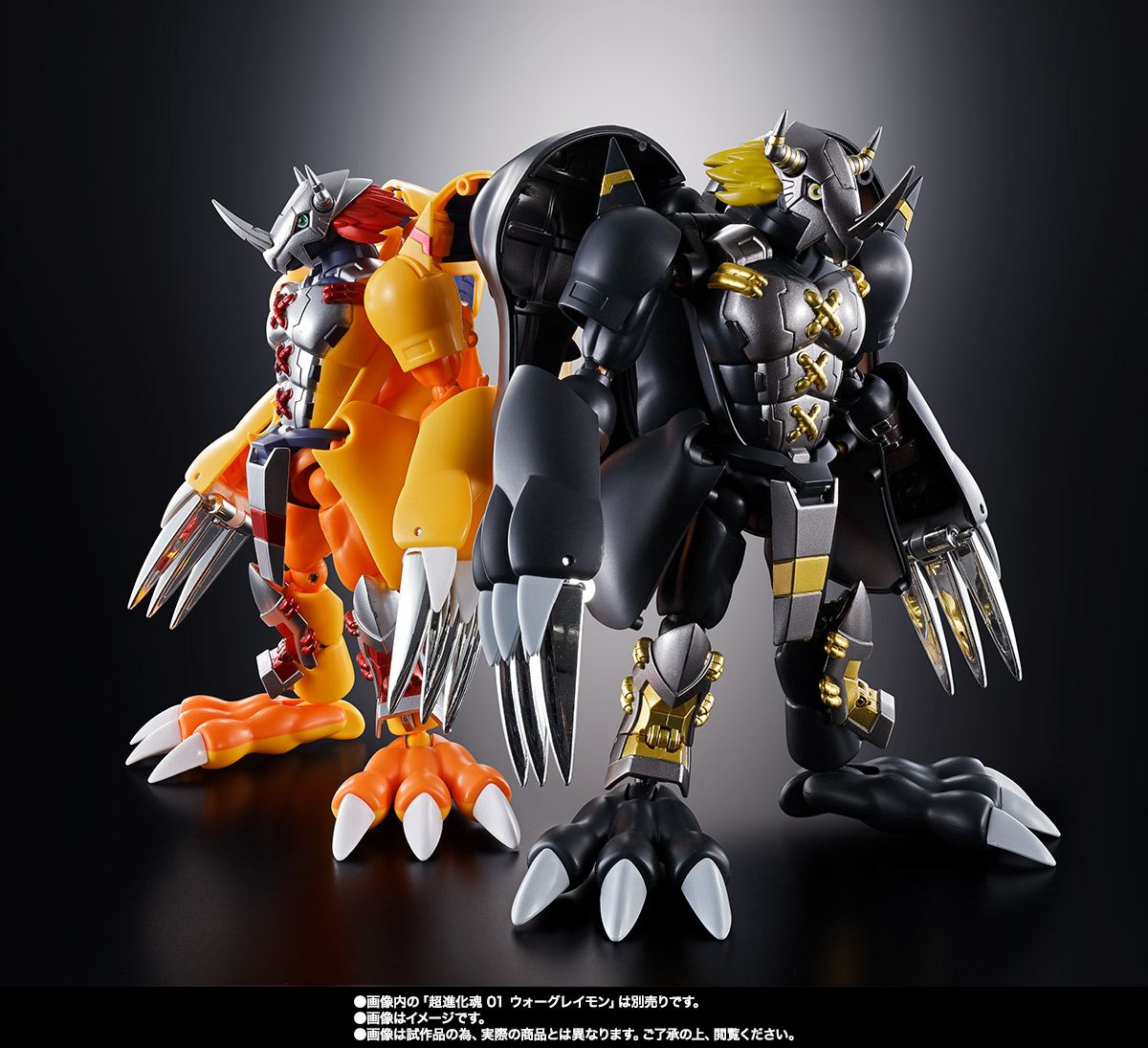 超進化魂&nbsp;08 ブラックウォーグレイモン