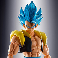 S.H.Figuarts&nbsp;スーパーサイヤ人ゴッドスーパーサイヤ人ゴジータ