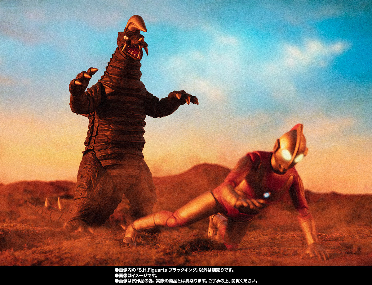 S.H.Figuarts ブラックキング