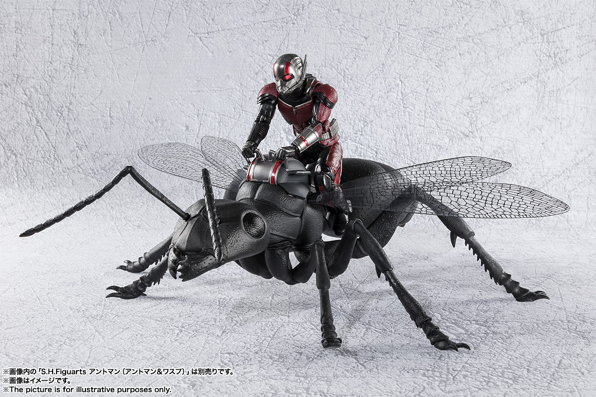 S.H.Figuarts&nbsp;蟻（アントマン＆ワスプ）