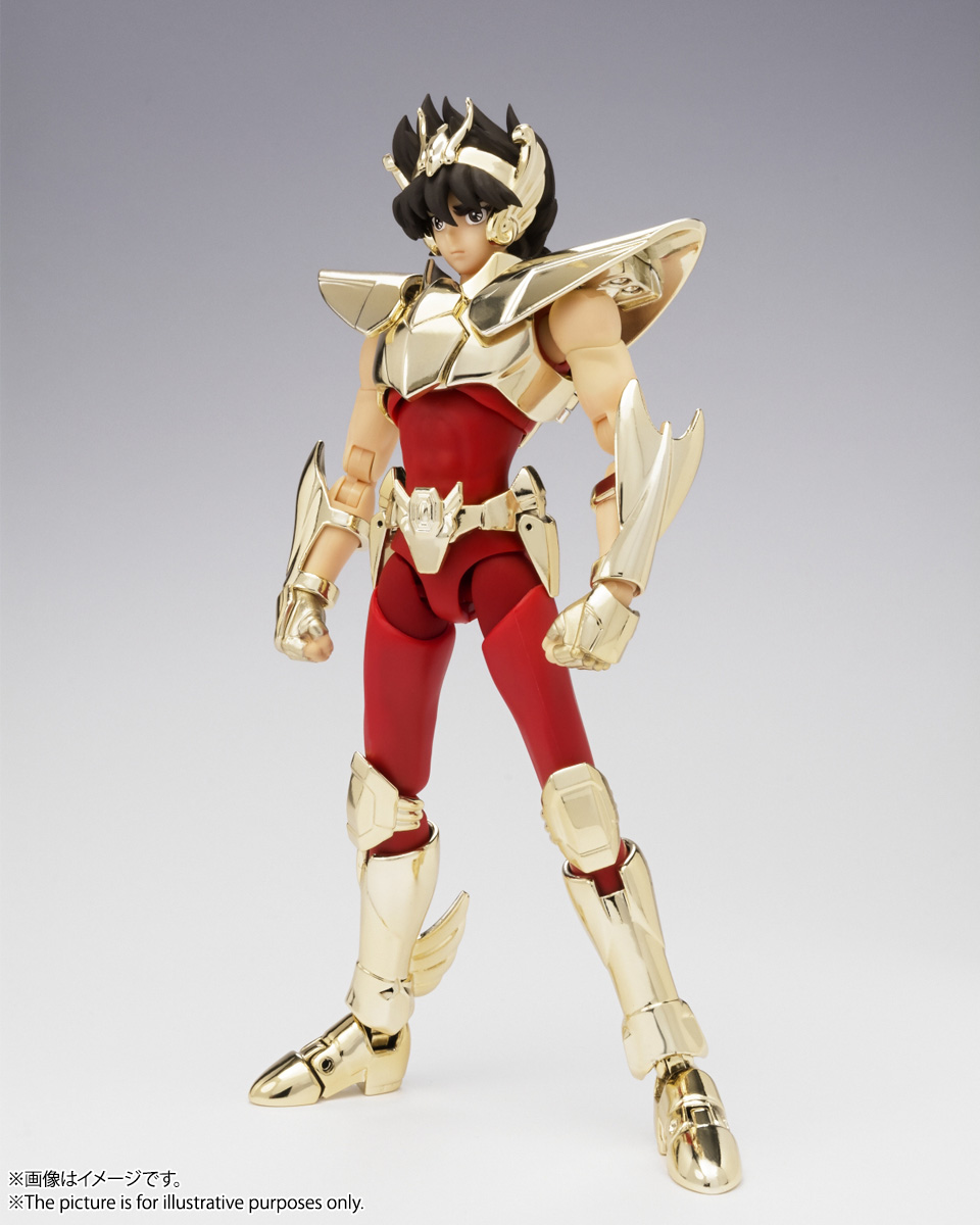 聖闘士聖衣神話EX ペガサス星矢(新生青銅聖衣) ~GOLDEN LIMITED EDITION~
