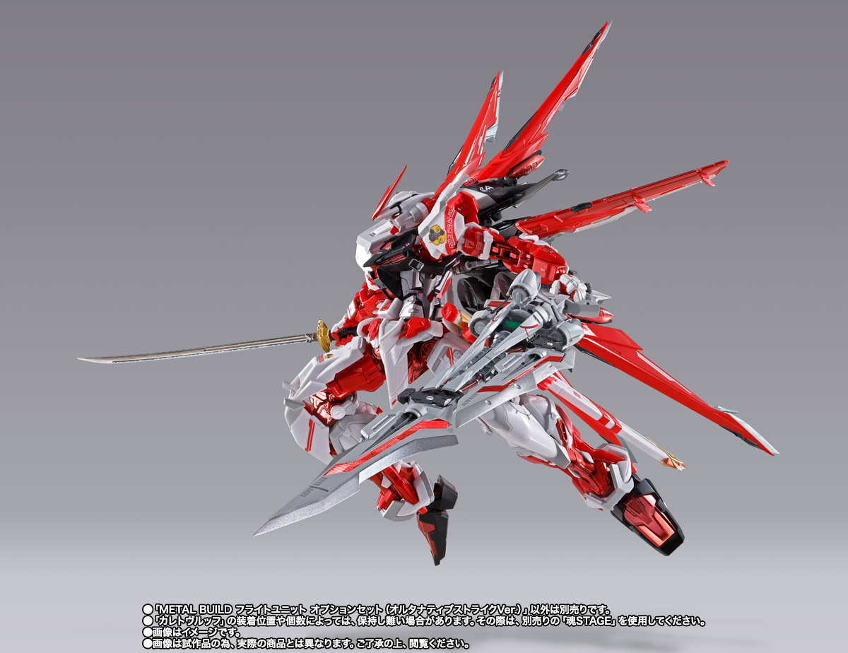 METAL BUILD&nbsp;フライトユニット オプションセット（オルタナティブストライクVer.）