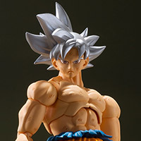 S.H.Figuarts&nbsp;孫悟空 身勝手の極意