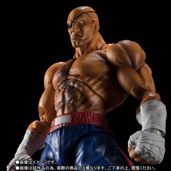S.H.Figuarts サガット