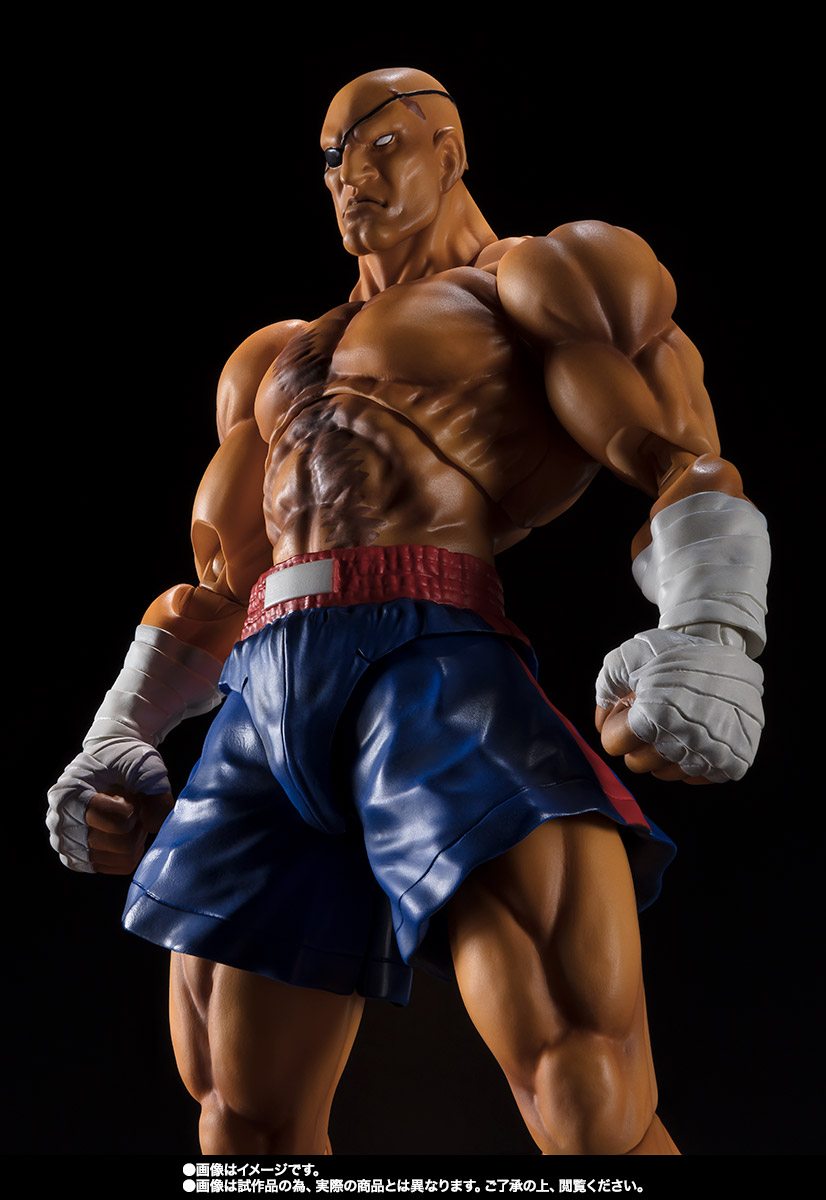 S.H.Figuarts サガット