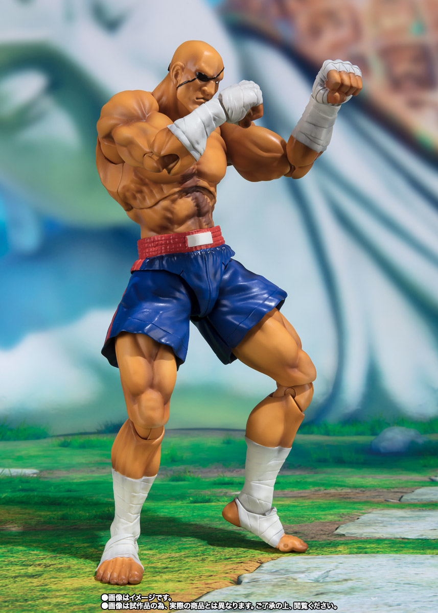 S.H.Figuarts サガット