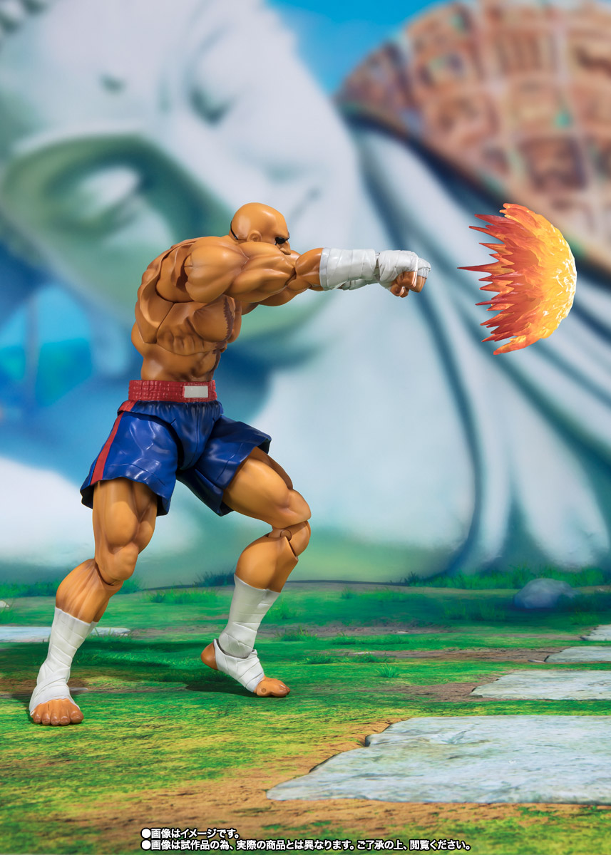 S.H.Figuarts サガット