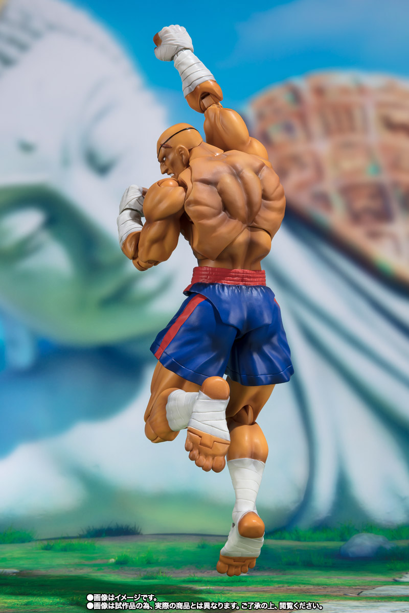 S.H.Figuarts サガット
