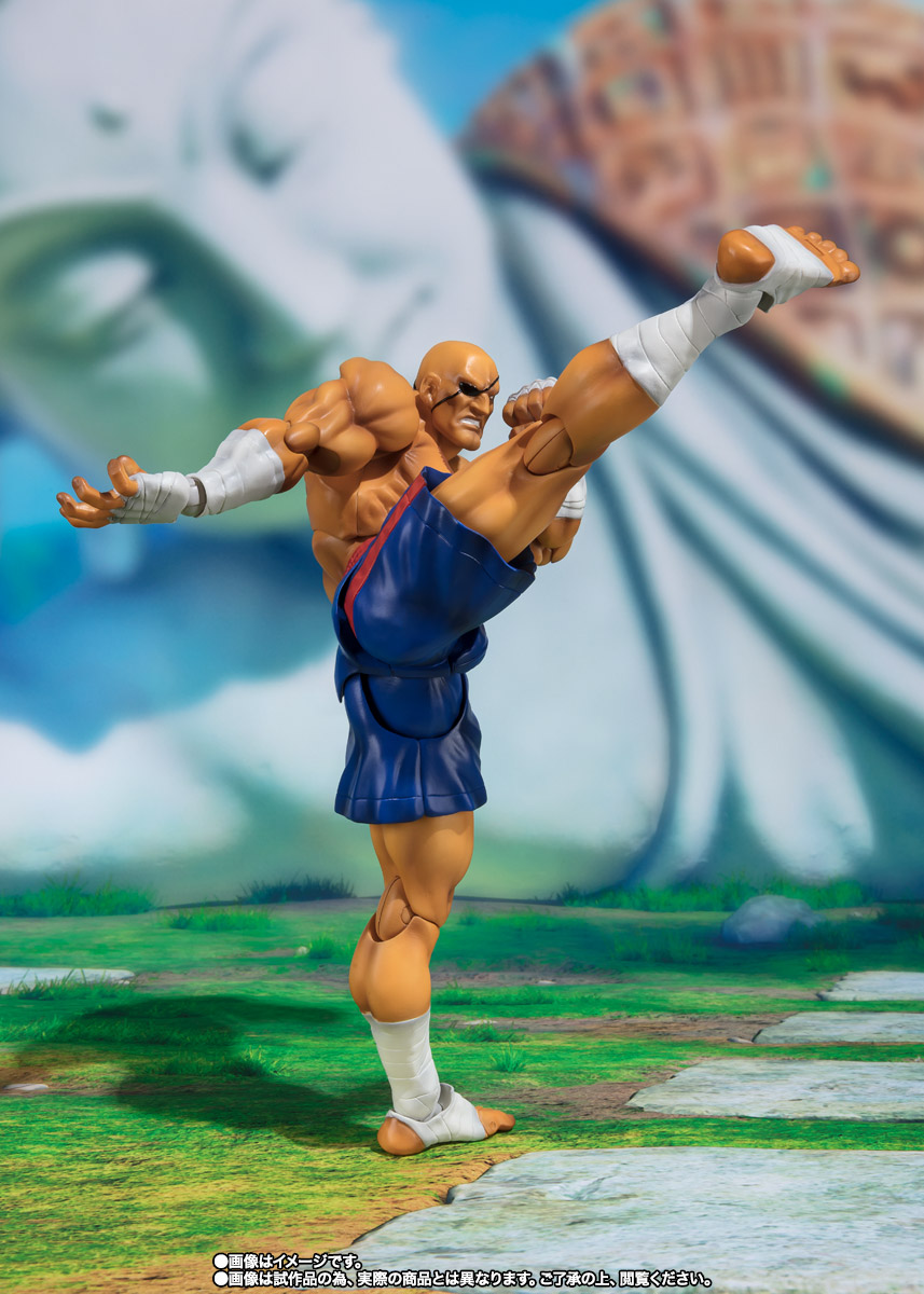 S.H.Figuarts サガット
