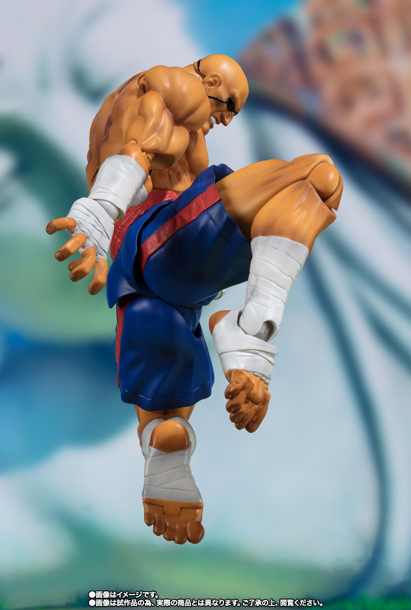 S.H.Figuarts サガット