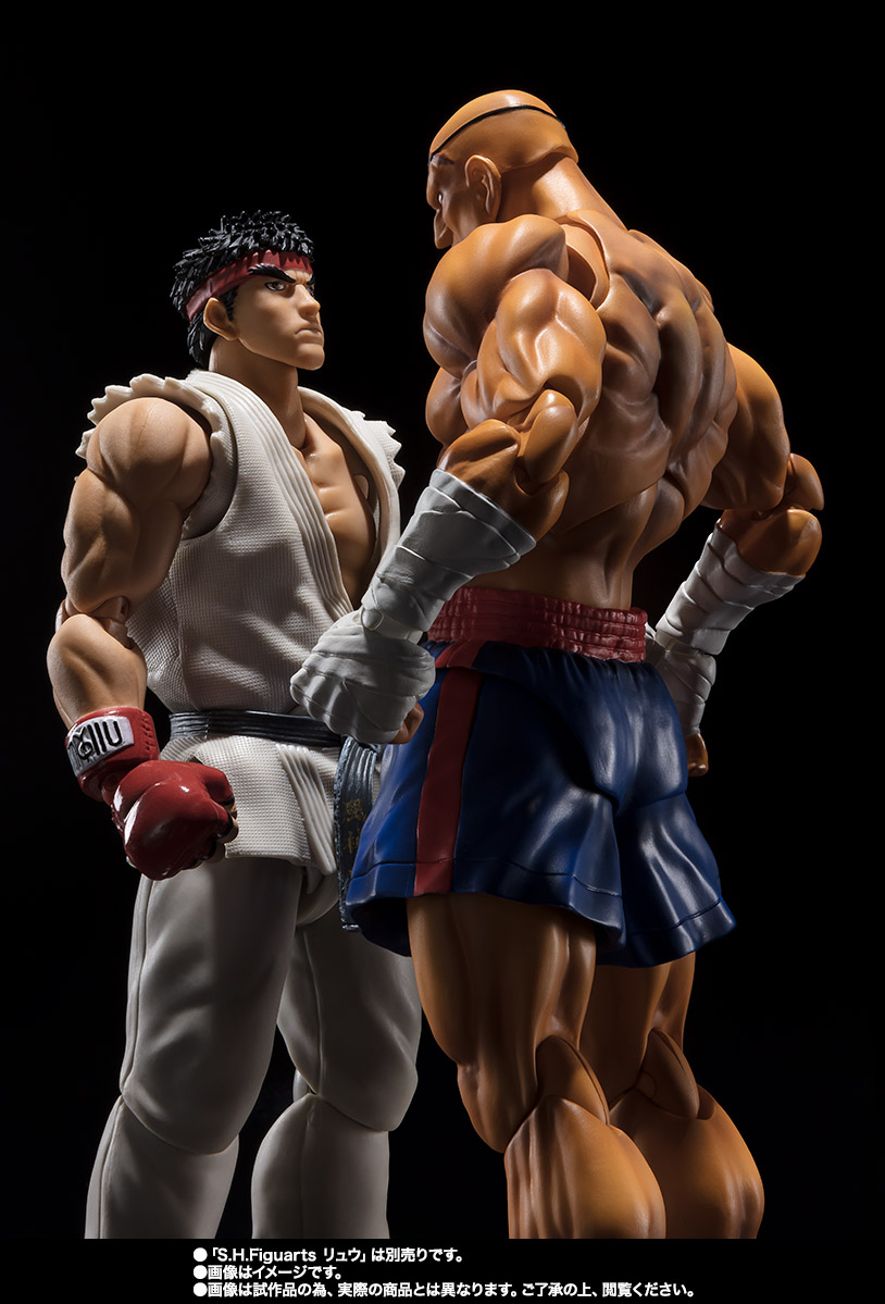 S.H.Figuarts サガット