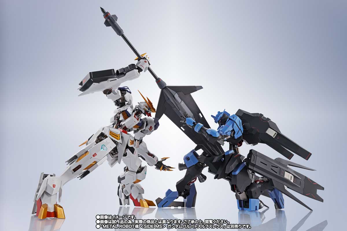 METAL ROBOT魂 <SIDE MS> ガンダムヴィダール