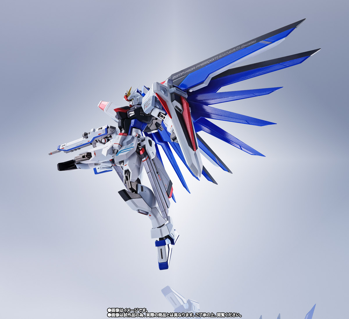METAL ROBOT魂&nbsp;＜SIDE MS＞ フリーダムガンダム