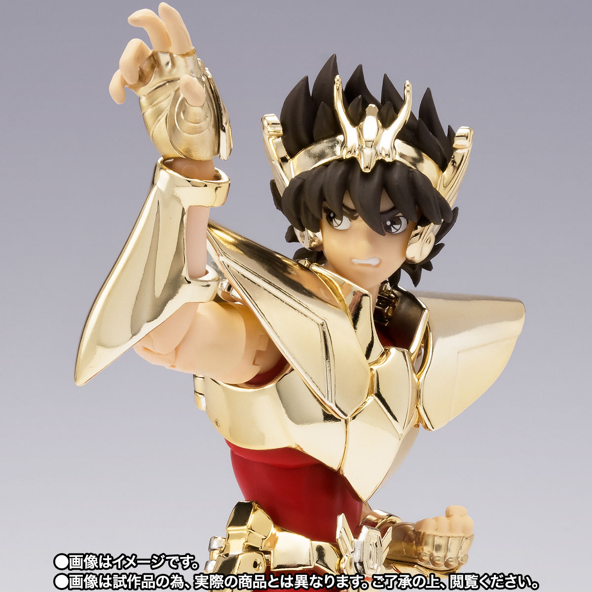 聖闘士聖衣神話EX ペガサス星矢(新生青銅聖衣) ~GOLDEN LIMITED EDITION~【TNT限定品オンライン特別販売】