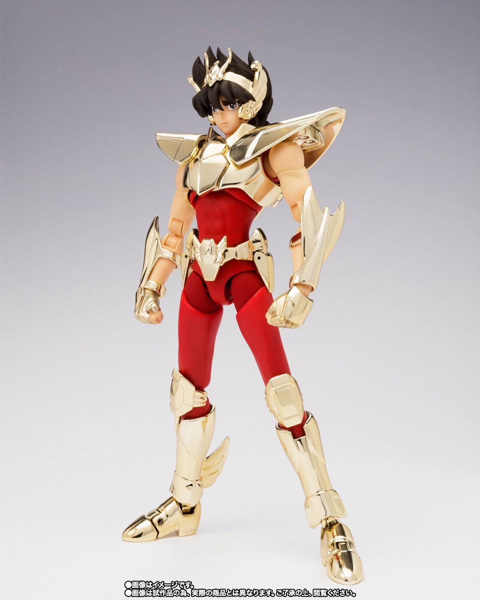 聖闘士聖衣神話EX ペガサス星矢(新生青銅聖衣) ~GOLDEN LIMITED EDITION~【TNT限定品オンライン特別販売】