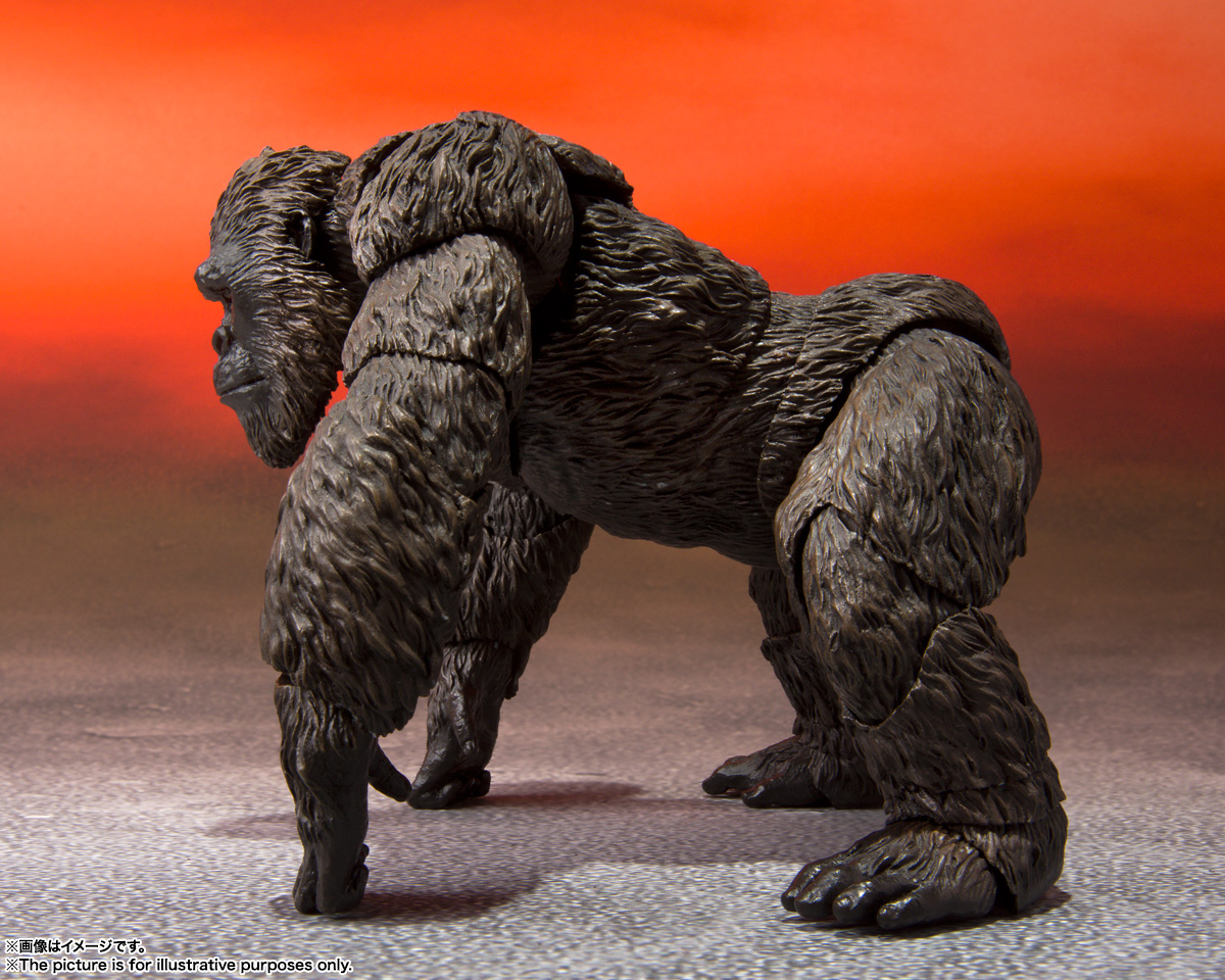 S.H.MonsterArts KONG FROM GODZILLA VS. KONG(2021)