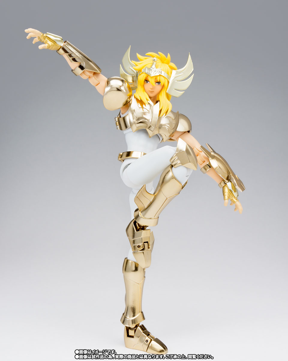 聖闘士聖衣神話EX&nbsp;キグナス氷河　(新生青銅聖衣) ～GOLDEN LIMITED EDITION～【TNT限定品オンライン特別販売】