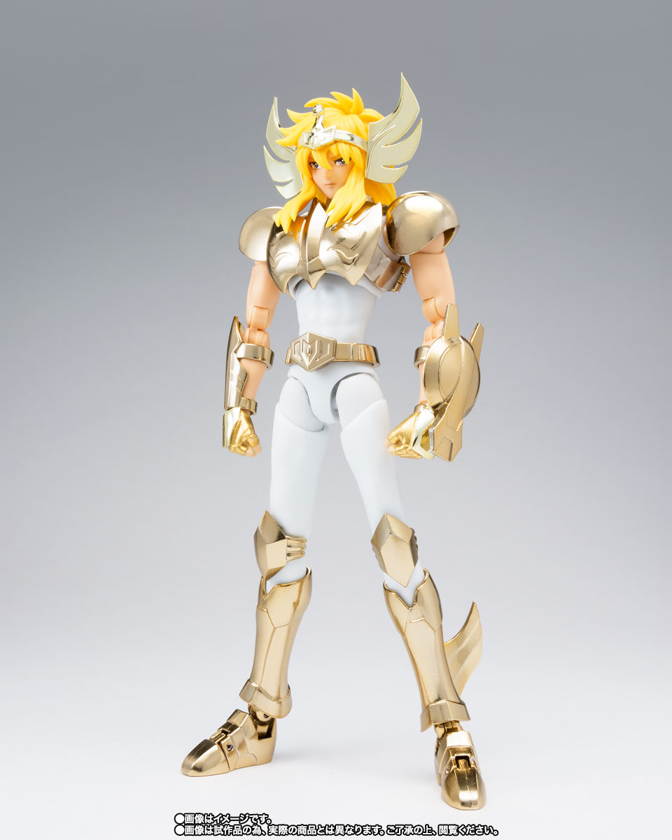 聖闘士聖衣神話EX&nbsp;キグナス氷河　(新生青銅聖衣) ～GOLDEN LIMITED EDITION～【TNT限定品オンライン特別販売】