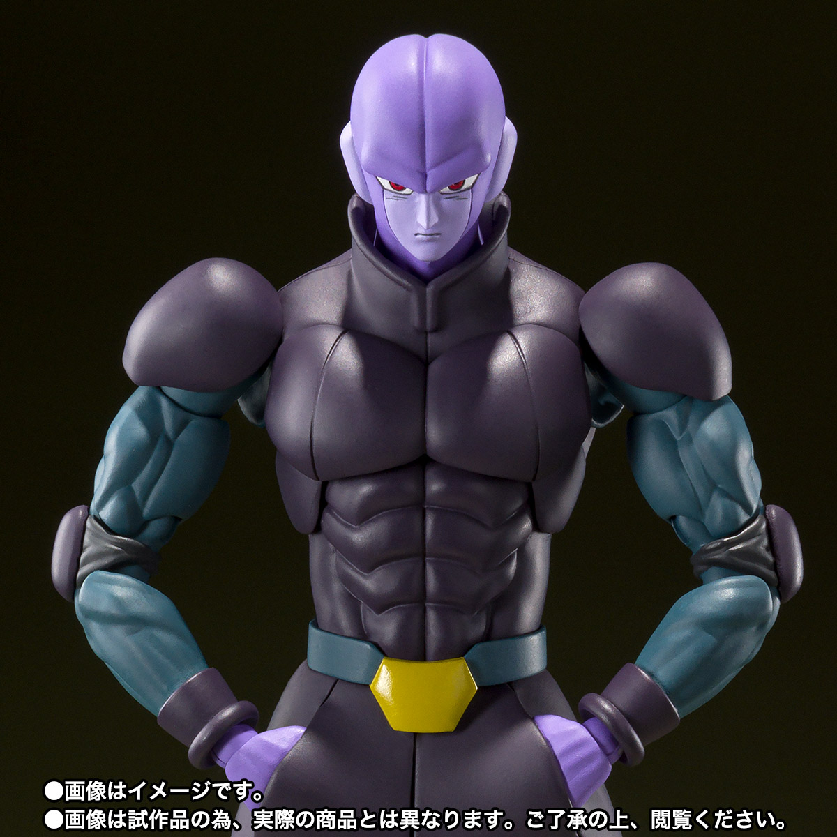 S.H.Figuarts ヒット