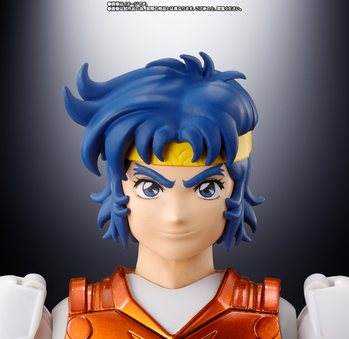 アーマープラス 金剛のシュウ(SPECIAL COLOR EDITION)