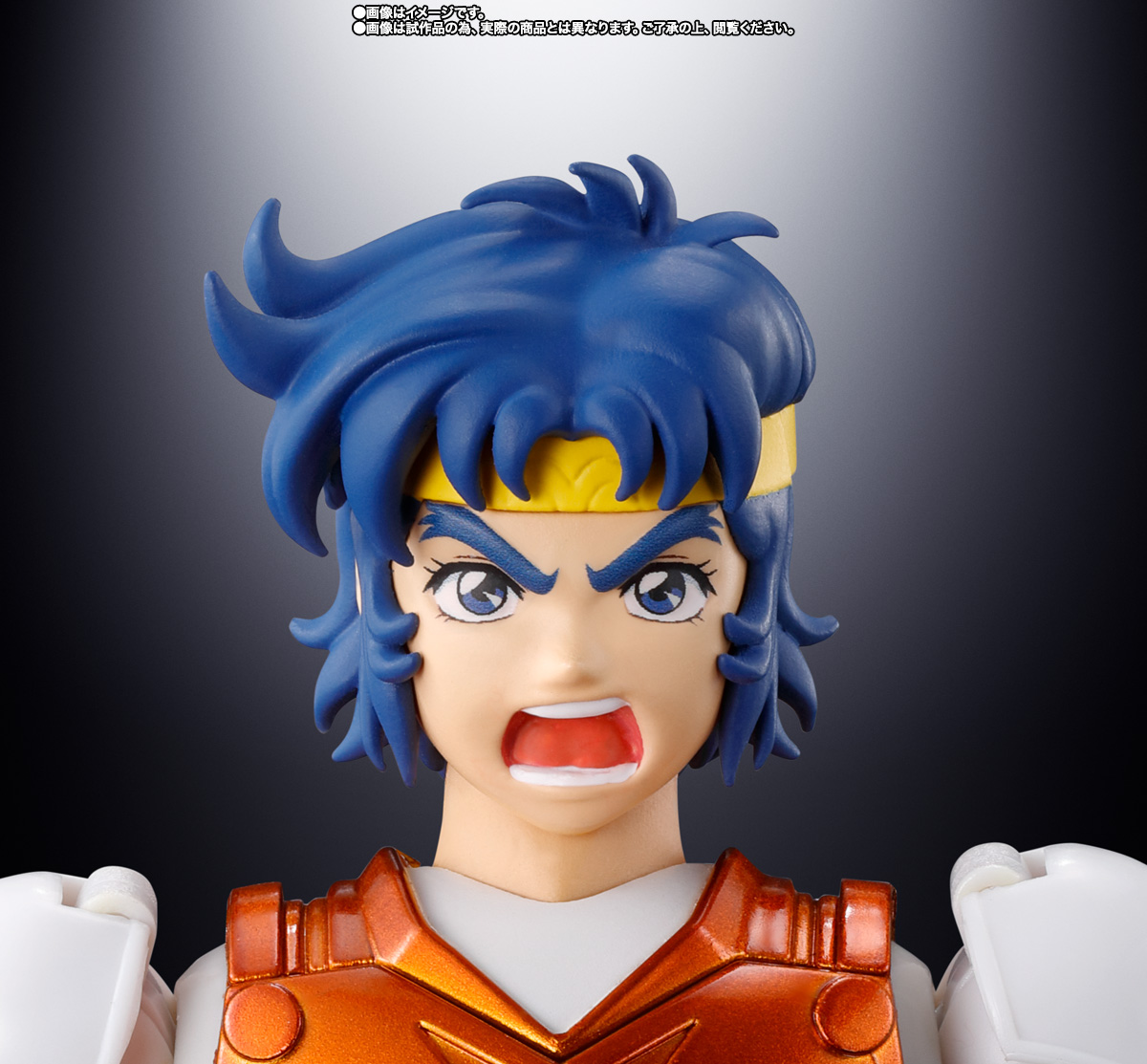 アーマープラス 金剛のシュウ(SPECIAL COLOR EDITION)