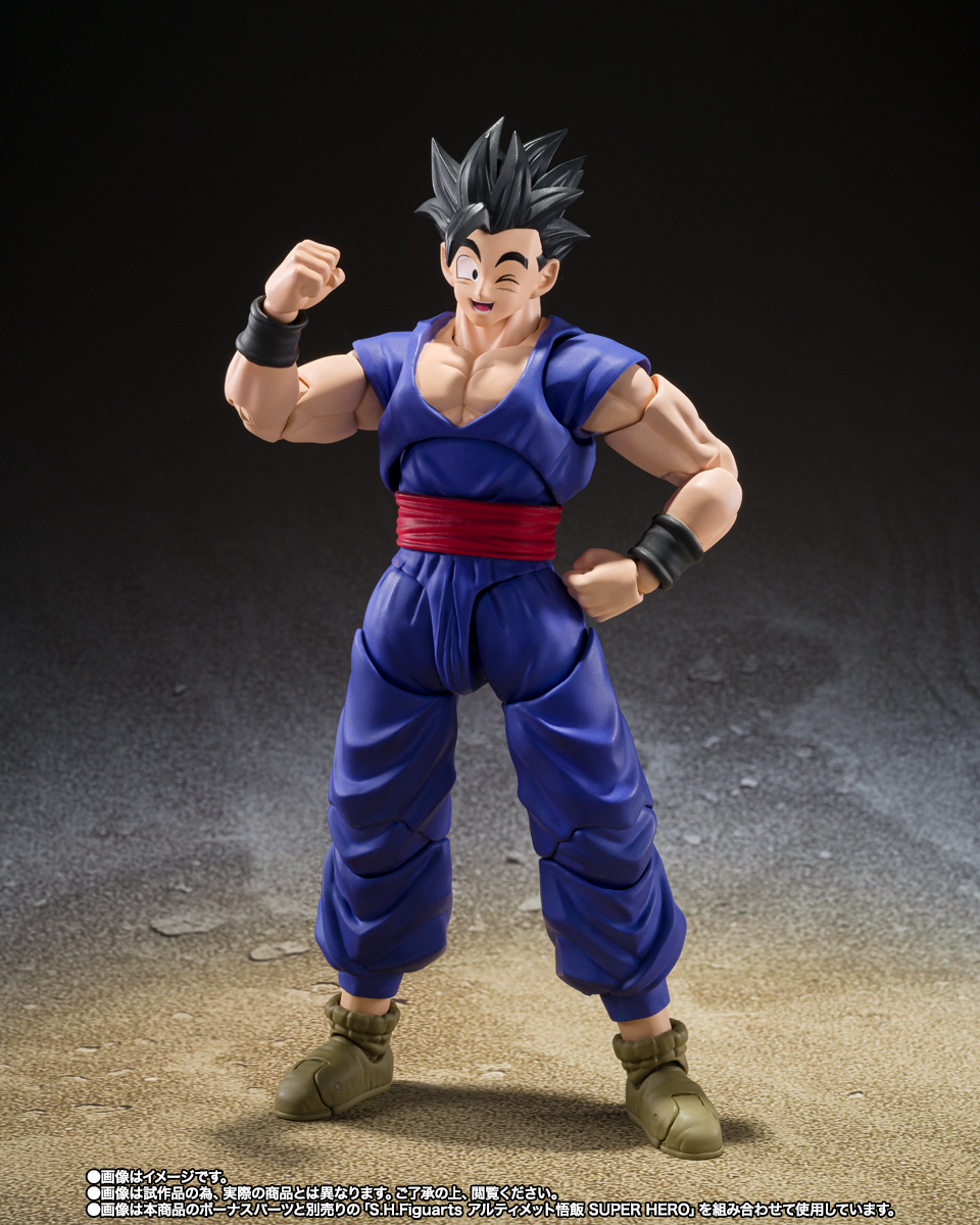 S.H.Figuarts パン SUPER HERO