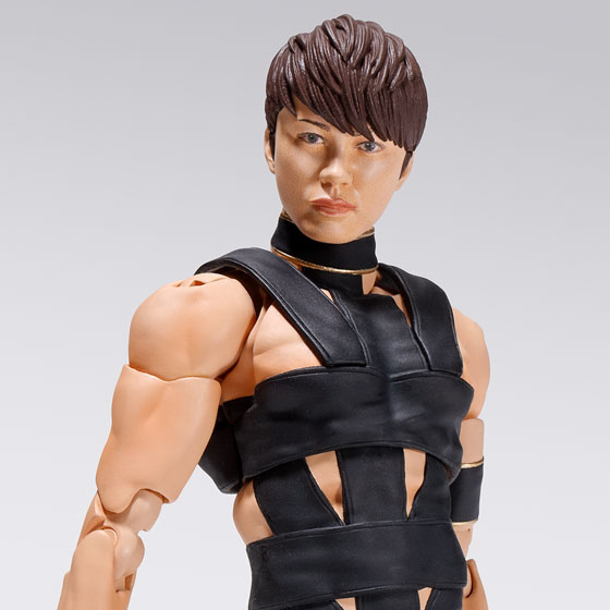 S.H.Figuarts&nbsp;T.M.Revolution