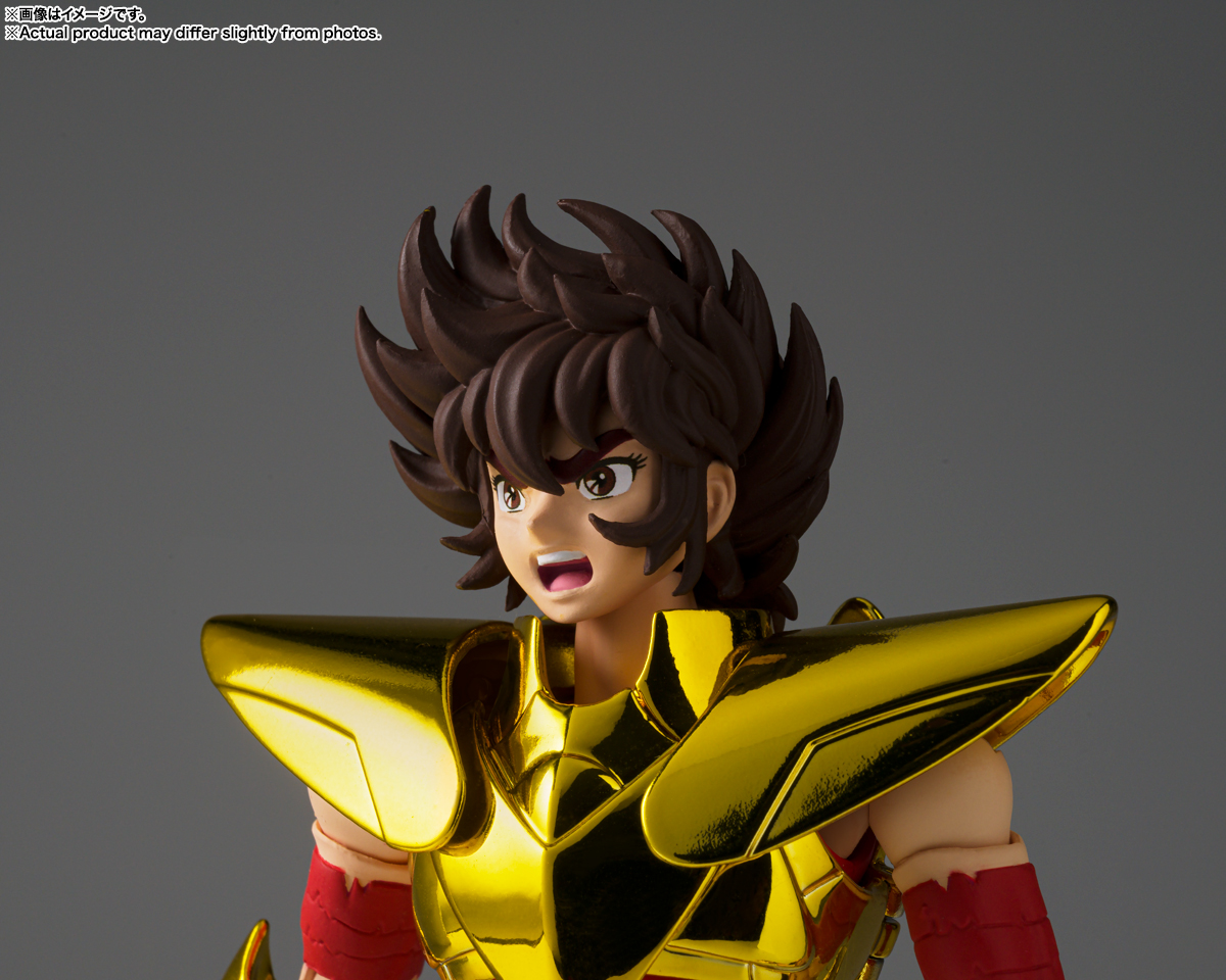 聖闘士聖衣神話EX ペガサス星矢(最終青銅聖衣) ~GOLDEN LIMITED EDITION~