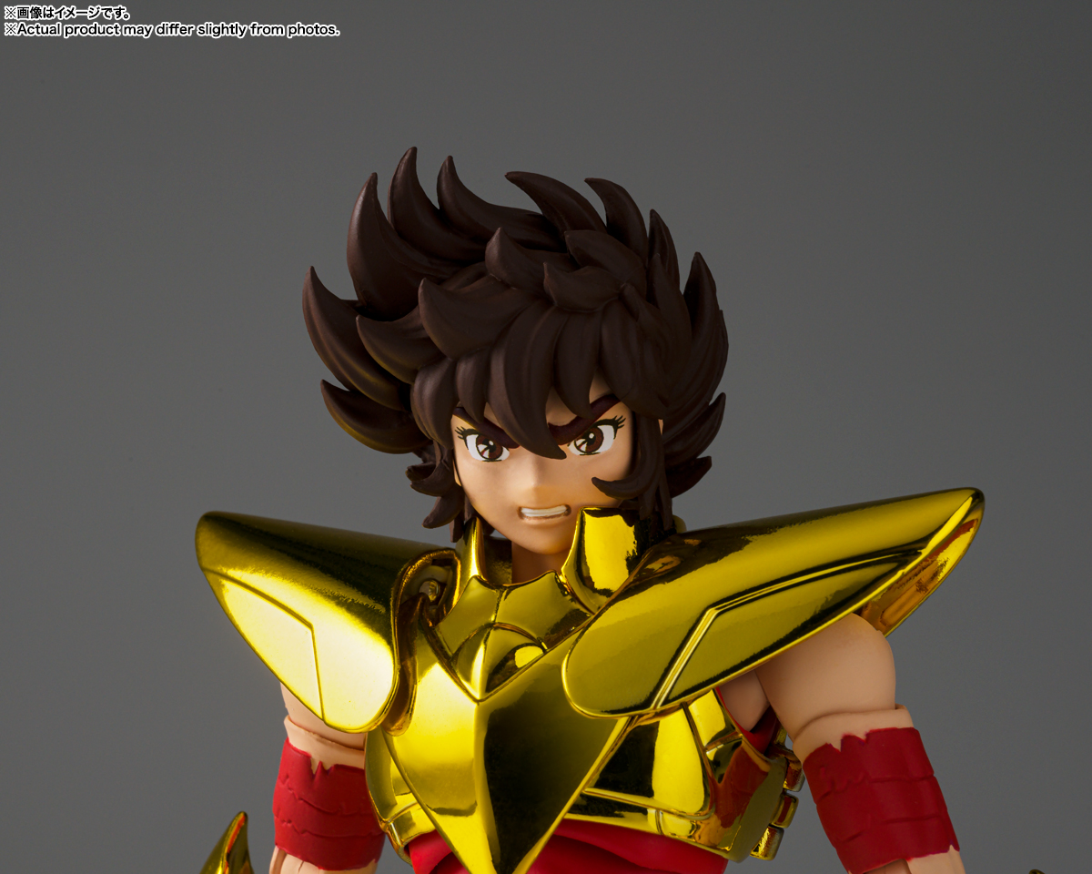 聖闘士聖衣神話EX ペガサス星矢(最終青銅聖衣) ~GOLDEN LIMITED EDITION~