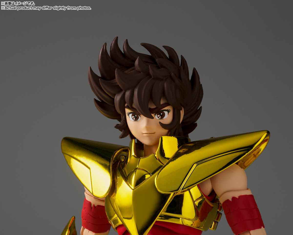 聖闘士聖衣神話EX ペガサス星矢(最終青銅聖衣) ~GOLDEN LIMITED EDITION~