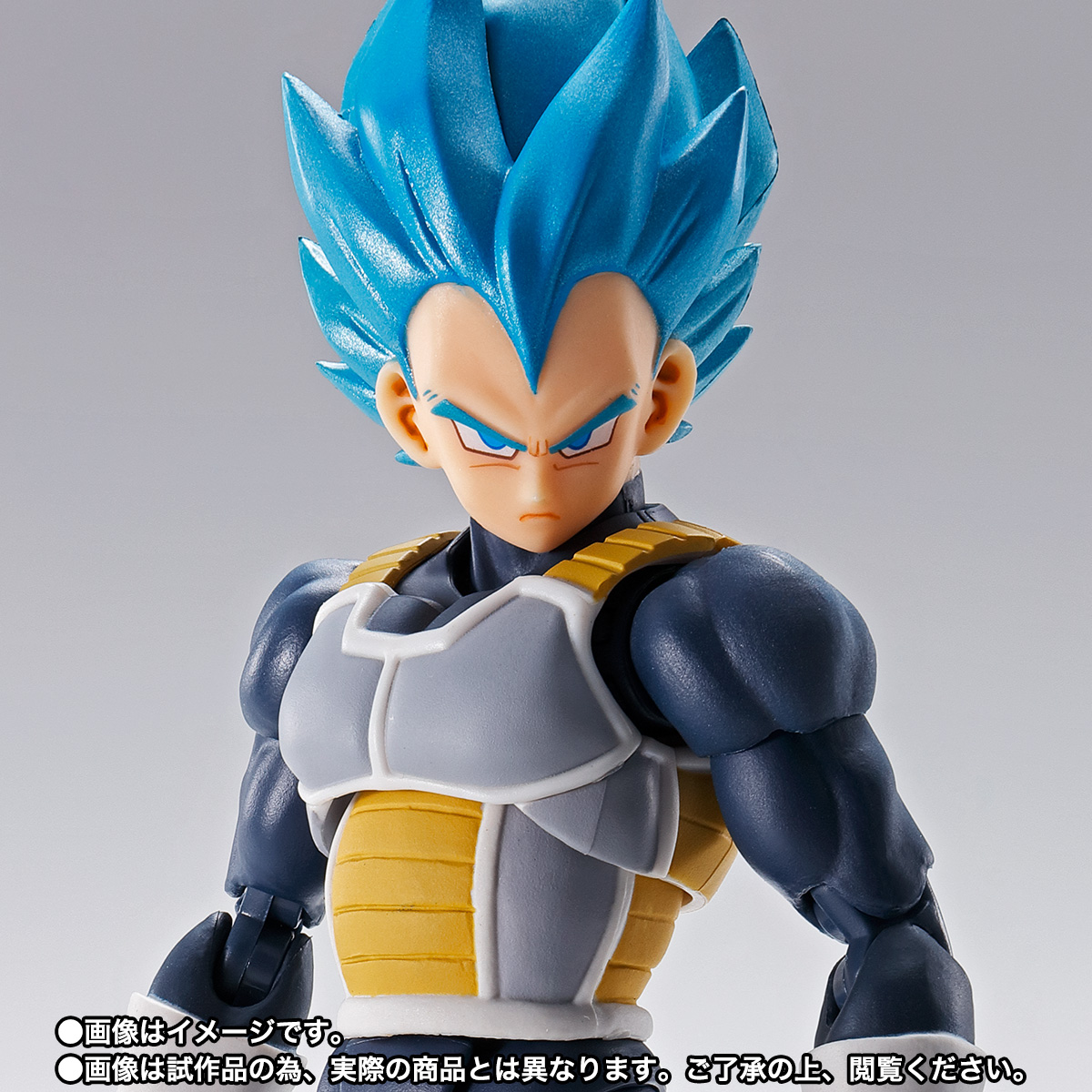 S.H.Figuarts スーパーサイヤ人ゴッドスーパーサイヤ人ベジータ-超- -S.H.Figuarts 15th anniversary Ver.-