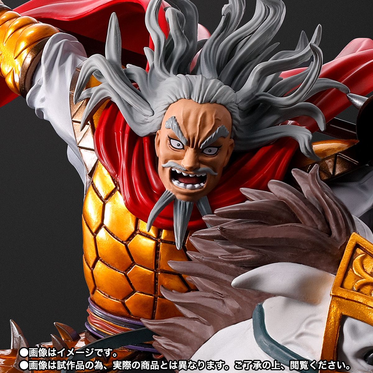 フィギュアーツZERO&nbsp;麃公 -出陣-