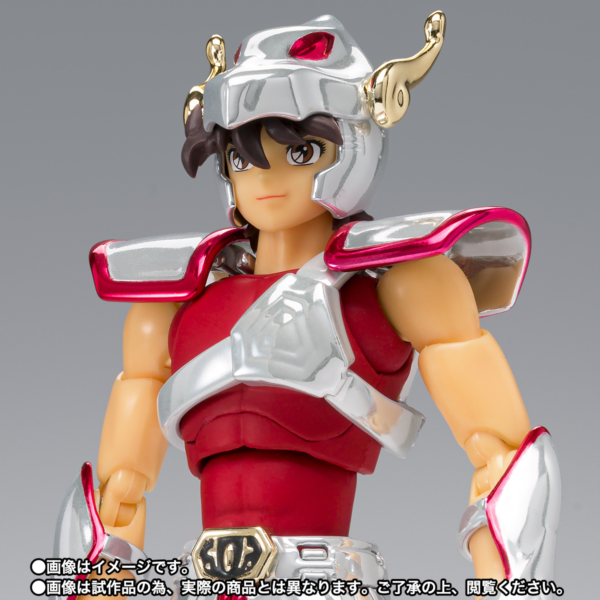 聖闘士聖衣神話 ペガサス星矢(初期青銅聖衣)20th Anniversary Ver.