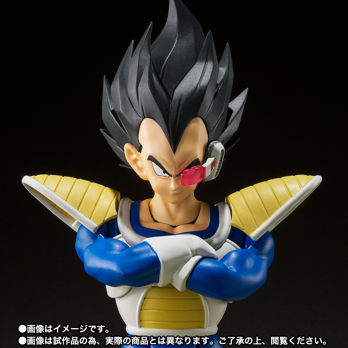 S.H.Figuarts ベジータ-24000の戦闘力-