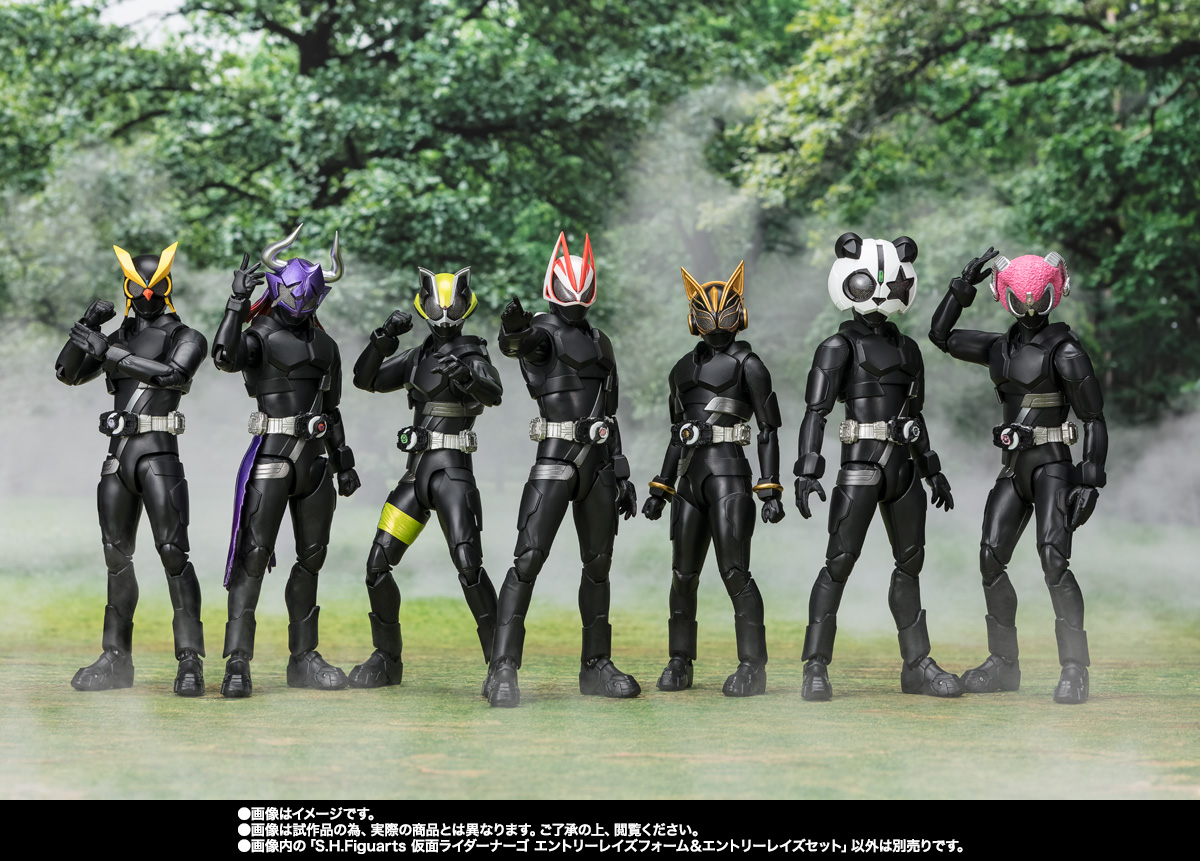 S.H.Figuarts 仮面ライダーナーゴ エントリーレイズフォーム&エントリーレイズセット